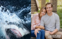 目擊鯊魚撕咬老公 孕妻愛夫心切跳水救人