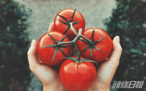 【健康talk】壓力太大易失眠 睡前食番茄有助改善睡眠質素