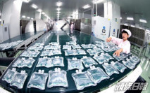 【2005】石四藥料中期純利跌50%至60%