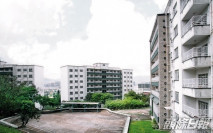 【地產話當年】軍人宿舍變身九龍塘豪宅