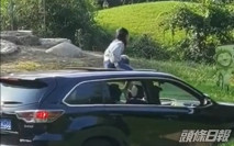 女童坐車頂遊京動物園 園方澄清無違規准開天窗