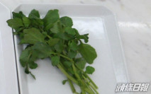 女子食「big big shop」網購西洋菜疑食物中毒 出現腹瀉等病徵