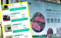 手機App騙投資「雲養牛」 苦主失半生積蓄