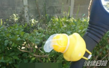 賊仔盜電單車頭盔「回贈」安全套 網民嘲「一帽換一帽」