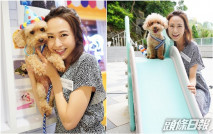 同愛犬拍攝寓工作於玩樂 湯怡大晒「慈母」笑容