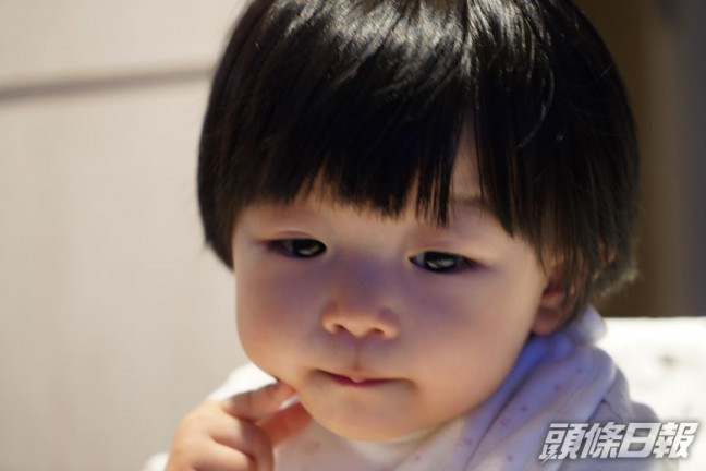 單文柔鏡頭下的小豬比