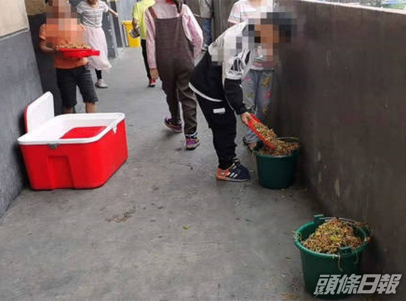學生因味道差,將學校提供的營養餐倒掉在垃圾桶。網圖