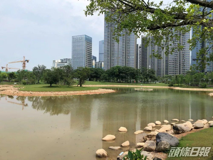 花香湖早前被抽乾湖水,因近幾天下雨,因此湖內蓄起不少水。
網圖