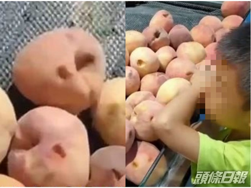 男童手多多整爛水蜜桃。網圖