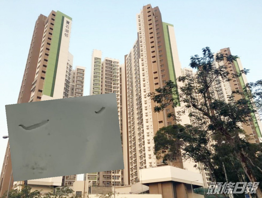 有寶石湖邨住戶在廁所水內發現大量活蟲。政府新聞處圖片/林卓廷影片截圖