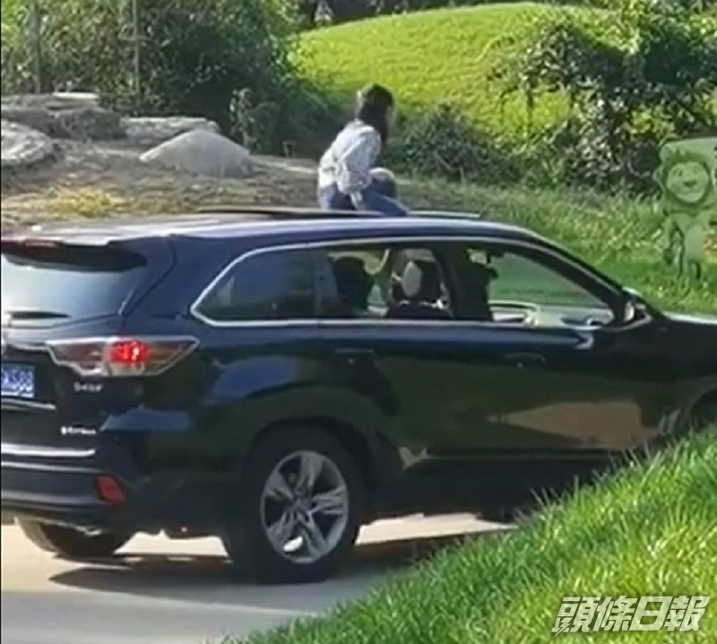 女童坐車頂遊北京野生動物園。網上圖片