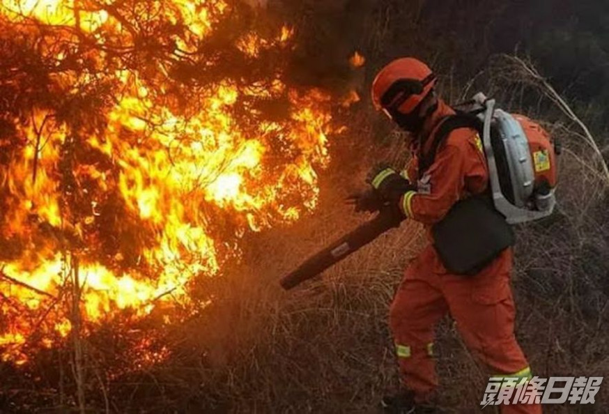 內地森林消防員(非當事人)。 網圖