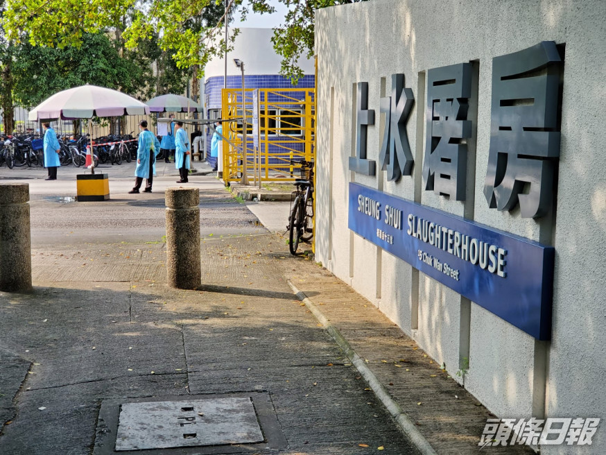 上水屠房有員工初步確診。資料圖片