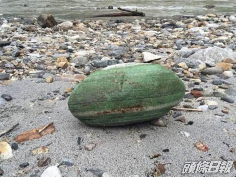 女孩以為只是綠色的貝殼。中時