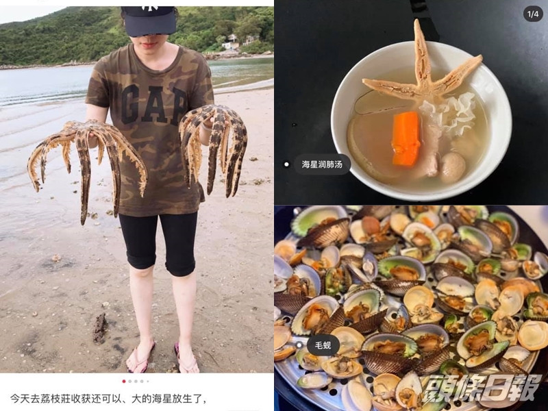 内地女在「小紅書」發文教捉「海鮮」其附有海星湯食譜。 網圖