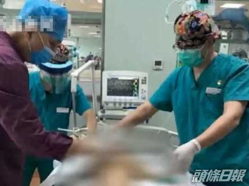 河南一名2歲男童在餵狗時慘被撕咬,全身50多處受傷出血。網圖