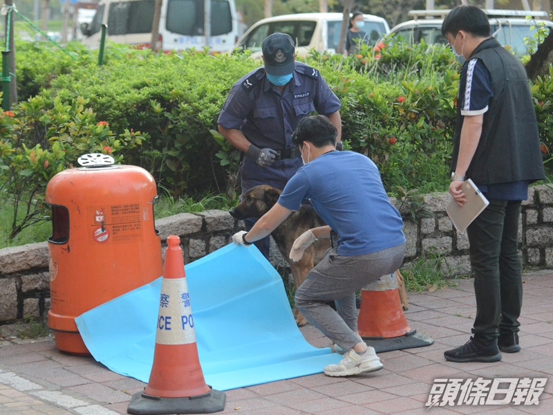 一名女嬰於周三被發現連臍帶遭棄屍於天水圍垃圾桶旁。資料圖片