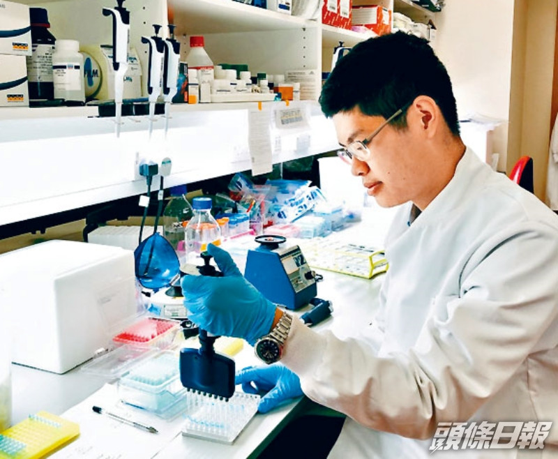 獲獎學金前往英國牛津大學修讀醫學博士課程的鄭世鴻,曾在牛津Weatherall分子醫學研究所實習。