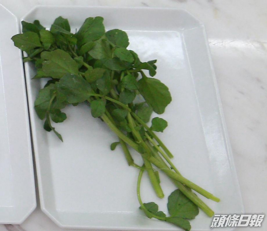 西洋菜。資料圖片
