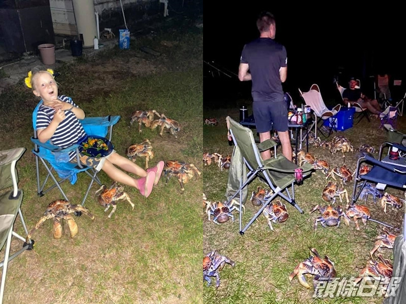 澳洲一個家庭燒烤時被52隻椰子蟹包圍。 Christmas Island Tourism FB 圖片