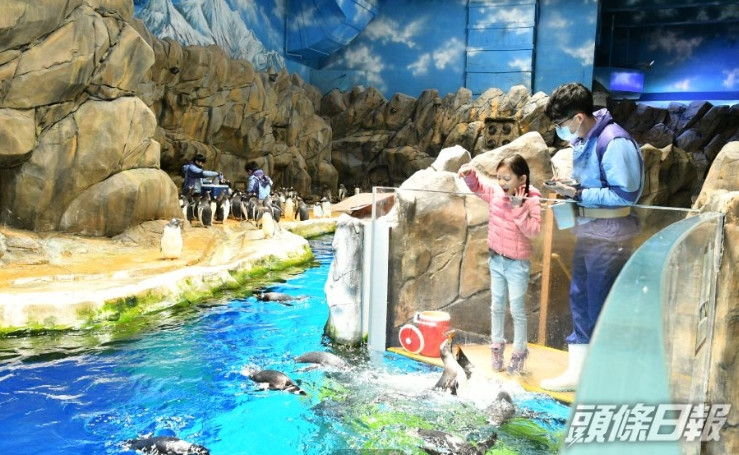 海洋公園圖片