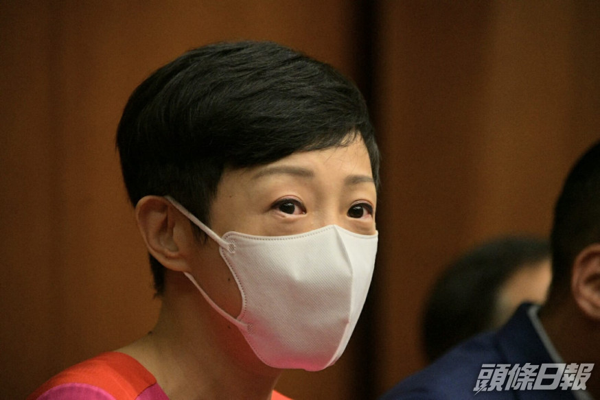 陳淑莊希望外界勿對她的決定做任何揣測。