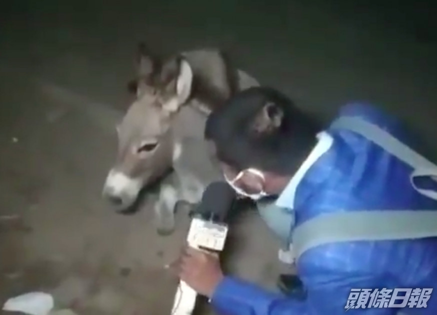 Twitter影片截圖