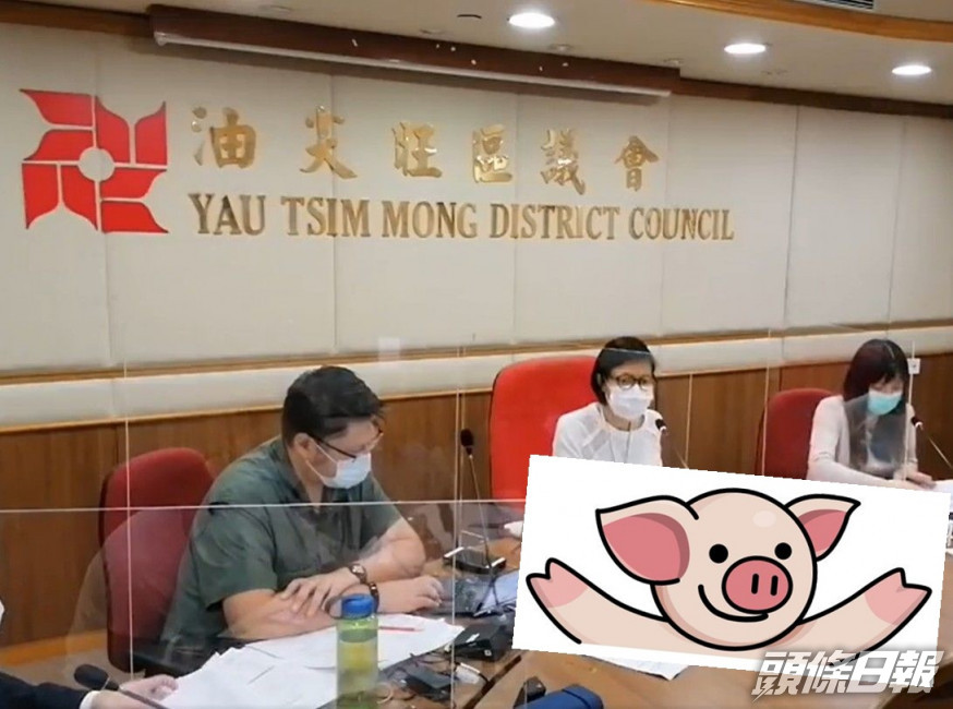 油尖旺區議會通過以「連登豬」加入節日燈飾設計,但被民政署反對。佐敦南區陳梓維議員辦事處FB影片截圖/網圖