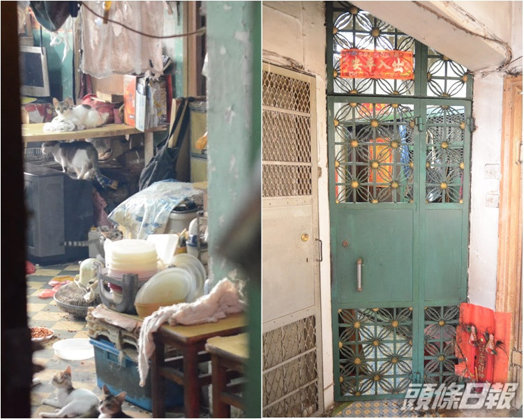 一度出走家貓所住劏房。