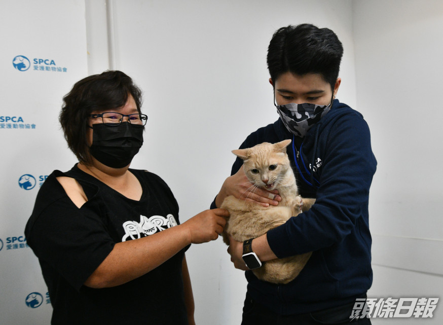 走私寵物葬身怒海 婦斥無良中介狠心