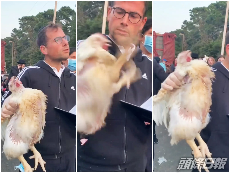 美國一名猶太男子進行贖罪儀式時,將一隻活母雞高舉,並企圖殺死牠,引來動物保護組織的不滿。「Animal Reality Exposed」Facebook影片截圖
