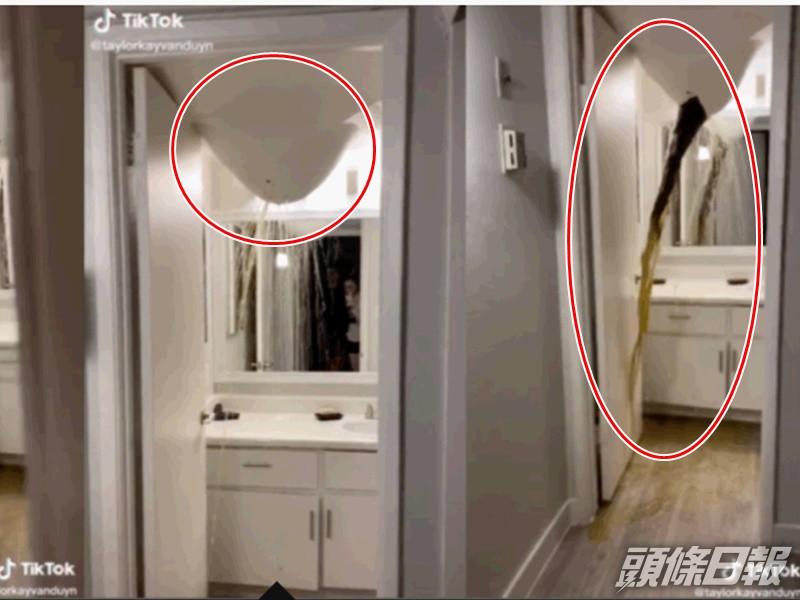 天花板不勝負荷如「火山爆發」般排泄物噴滿全屋。網圖