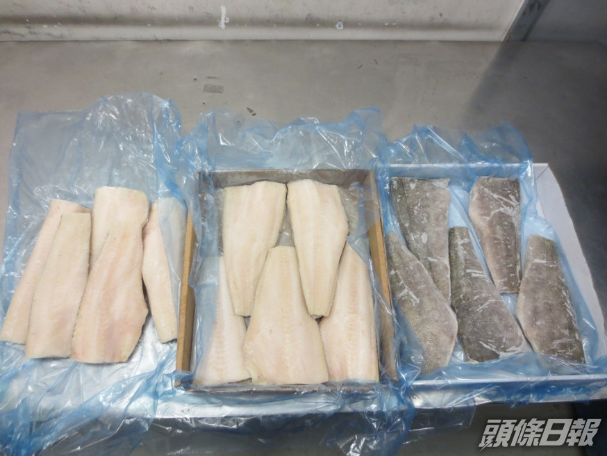 懷疑非法進口的犬牙魚產。 政府新聞處圖片