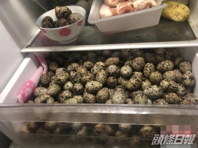 孔女家的冰箱滿是野生鳥蛋。網圖