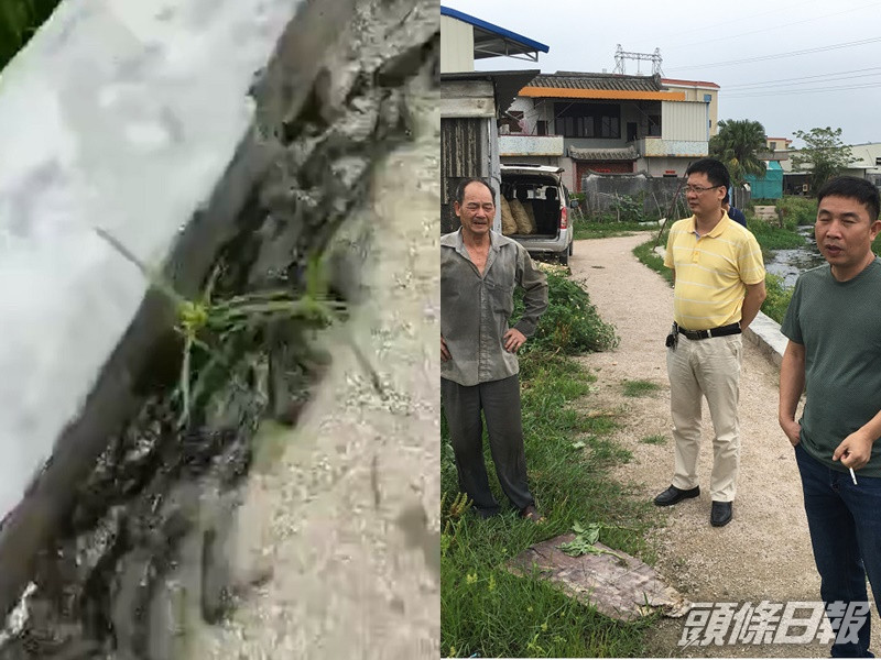 潮州一個池塘近日有大量魚群跳上岸,當局派員調查。潮州市應急管理局網頁圖片