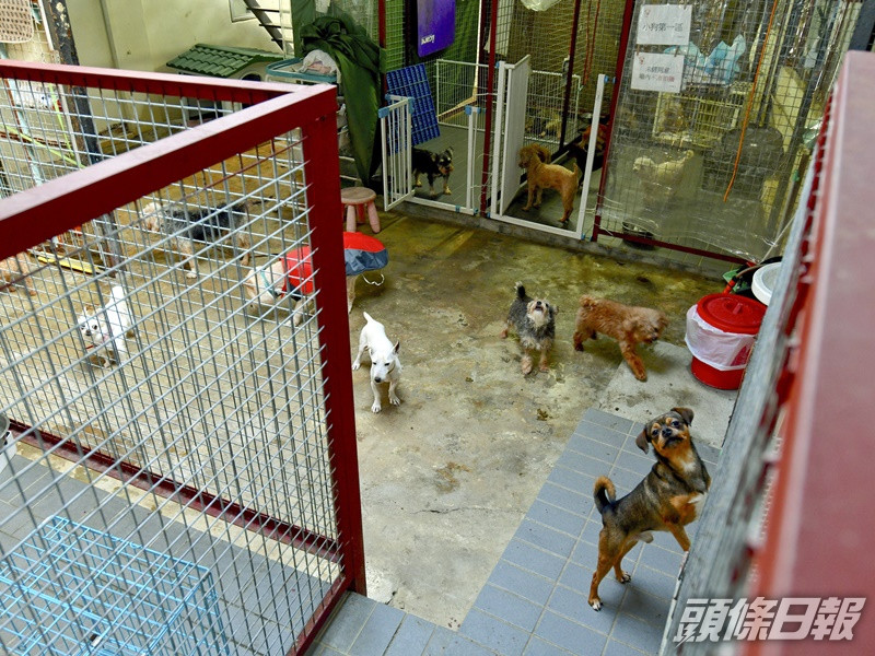 謝婉儀構思以單層組合屋興建新中心,興建時間約兩至三個月。盧江球攝