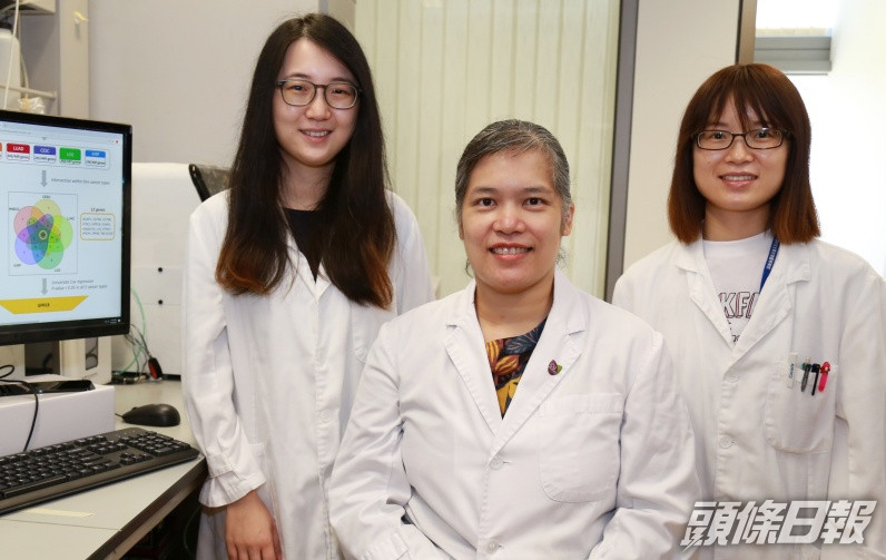 中大醫學院研究發現B細胞可預測多種癌症存活期。中大醫學院