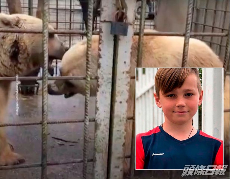 男童挑釁動物園棕熊被撕成碎屍。(網圖)