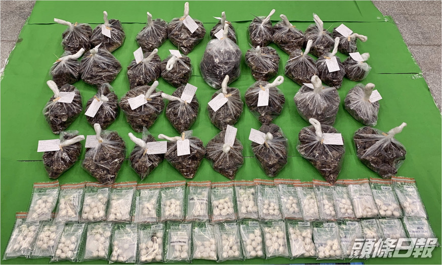 香港海關檢獲約9.5公斤懷疑可卡因,估計市值約1100萬元。海關圖片