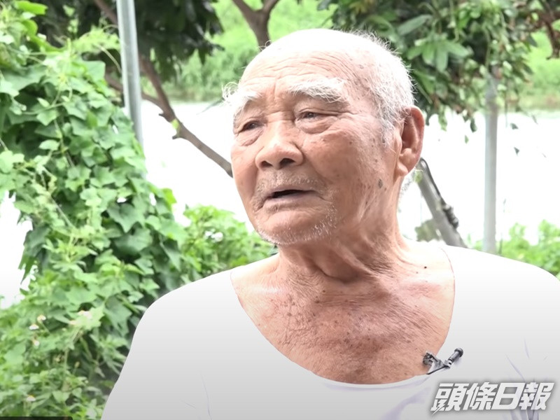 魚塘大王被騙走半世心血。東張西望截圖