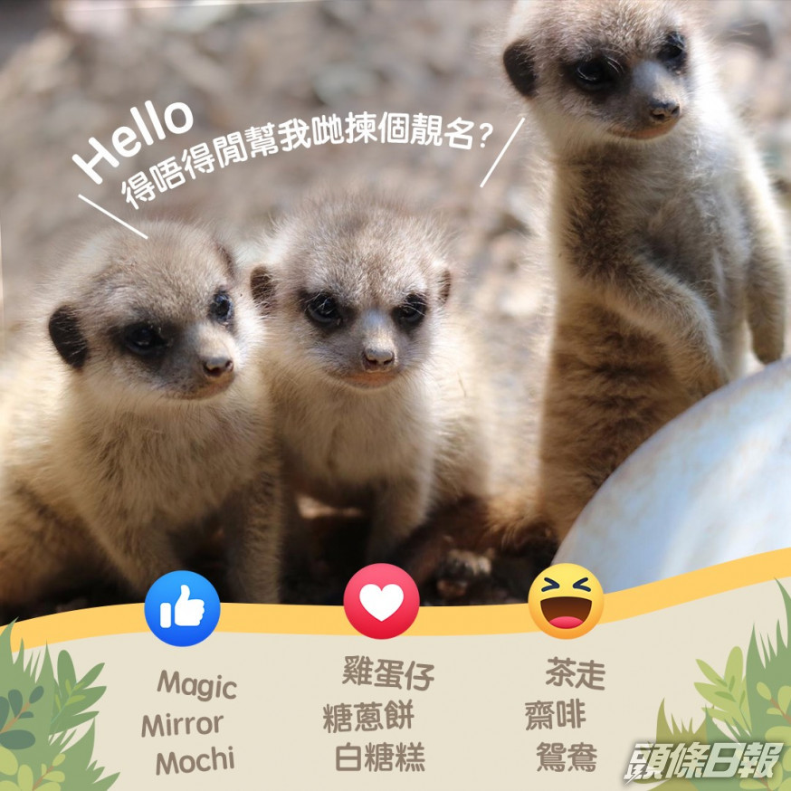 海洋公園facebook圖