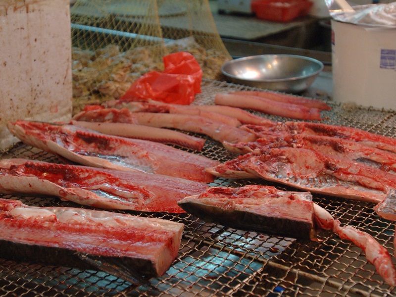 鯇魚。資料圖片