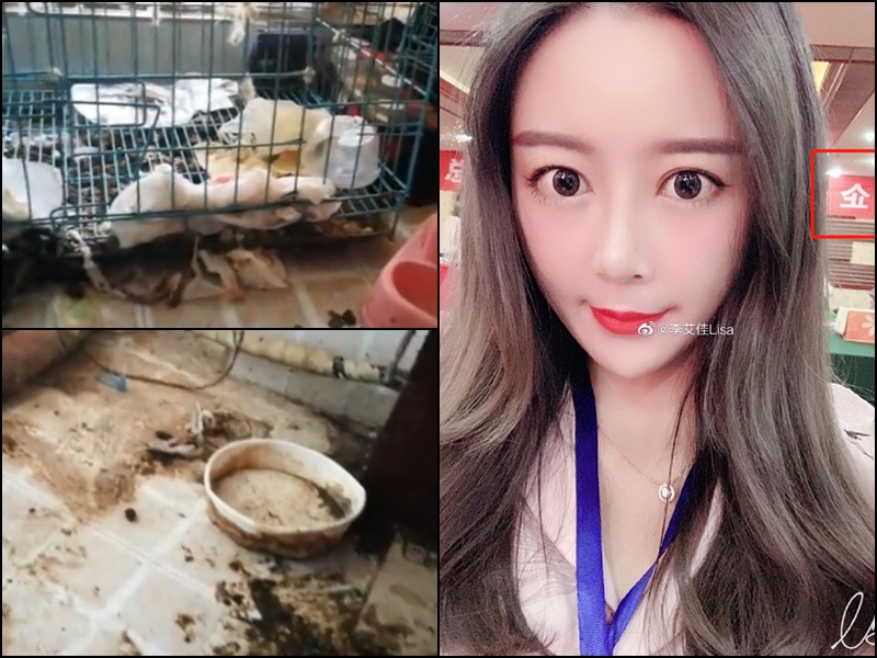 李女留下一屋狗屎及垃圾。網圖