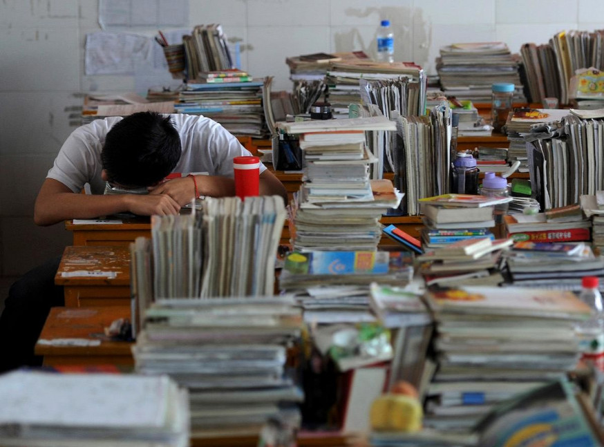 示意網圖