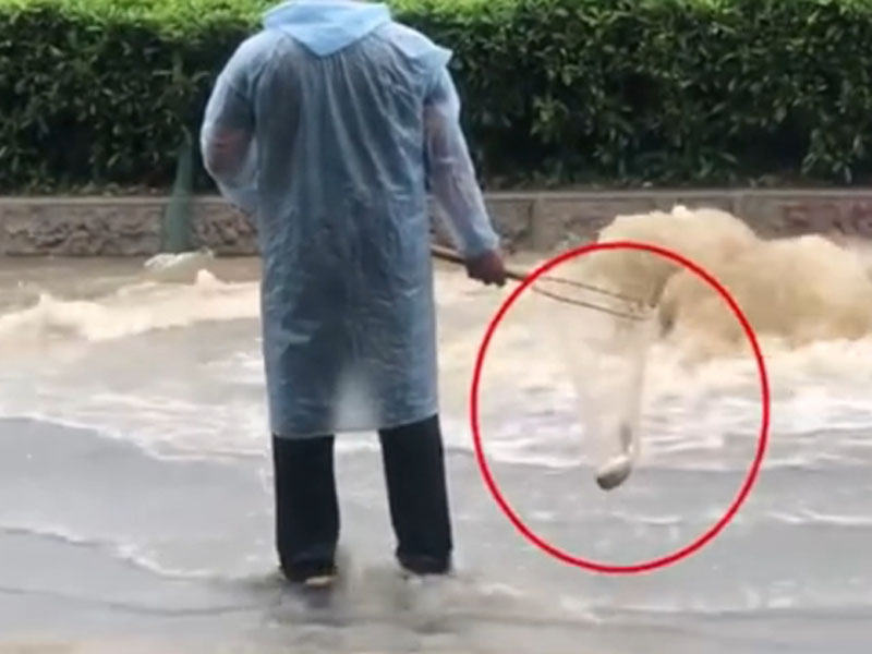 廣州暴雨後街頭被水淹沒,有路人當街撈魚。(網圖)