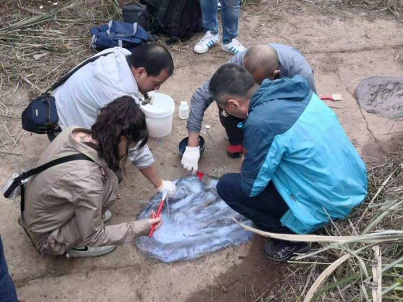 研究員等人前往百花鎮野雞坡現場考察,證實發現侏羅紀晚期恐龍腳印化石。(網圖)