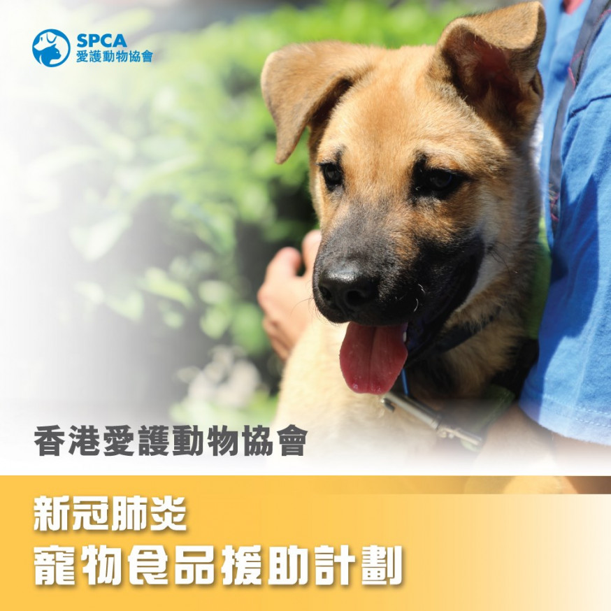 愛協為有經濟困難飼主提供寵物糧食援助