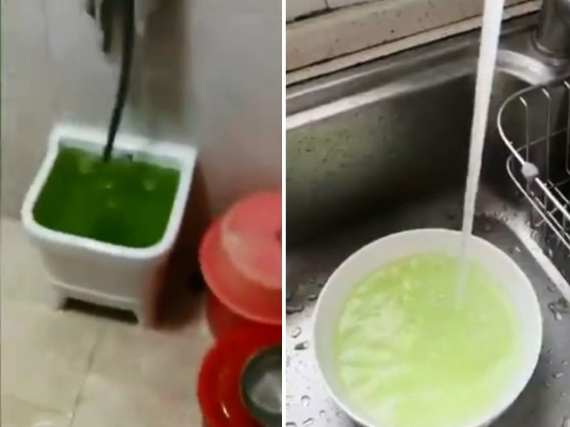 水龍頭所流出的水不僅呈現綠色,甚至還發出濃濃的腥臭味。影片截圖