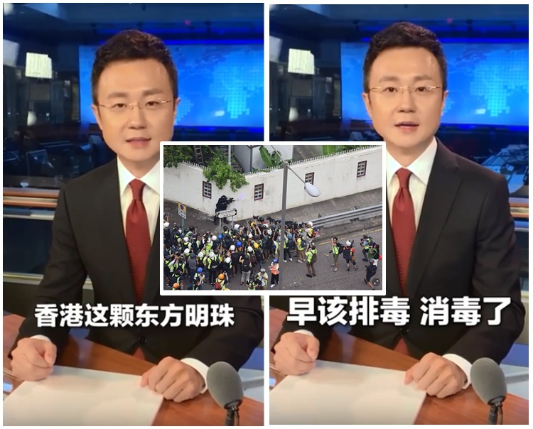 央視主播剛強表示,香港該排毒了。影片截圖