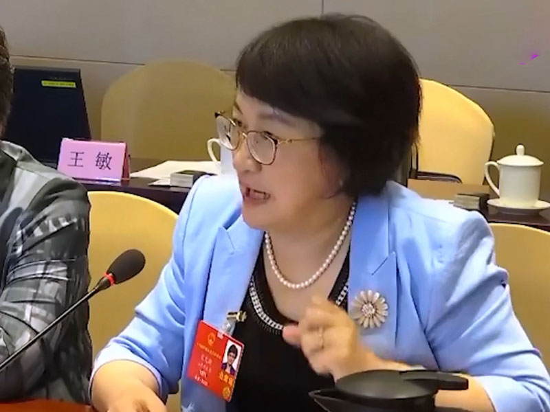 人大代表宋文新:建議對娛樂圈不良風氣進行整頓。